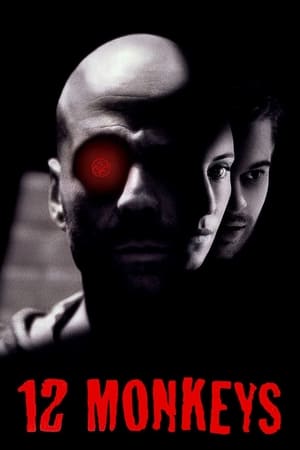 12 Monkeys (1995) Hindi Dual Audio 400MB HD Poster Download - Filmyzilla