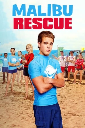 Malibu Rescue (2019) Hindi Dual Audio [1.4GB] HD Poster Download - Filmyzilla