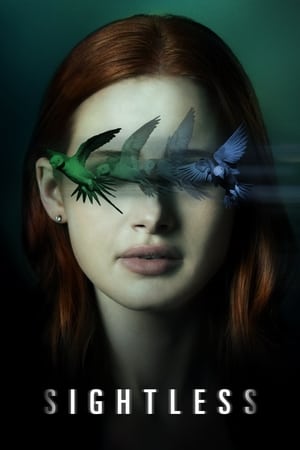 Sightless 2020 Hindi Dual Audio [800MB] HD Poster Download - Filmyzilla