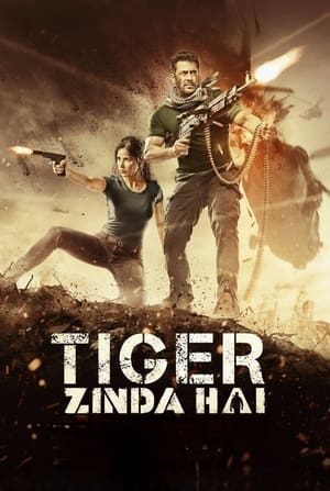 Tiger Zinda Hai 2017 490MB Movie Download HD Poster Download - Filmyzilla